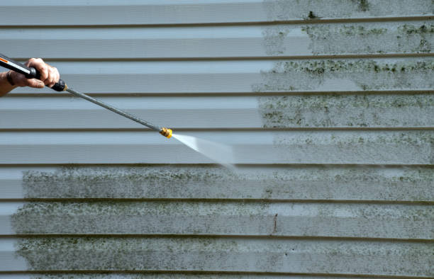 Best Attic Mold Removal  in Kalama, WA