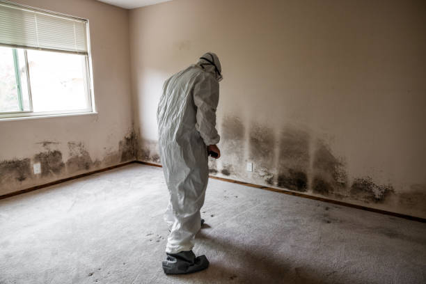 Best Residential Mold Removal  in Kalama, WA